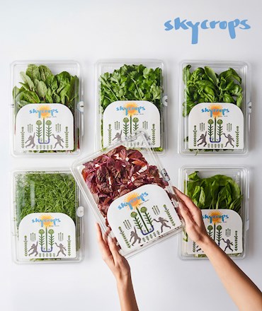 SKYCROPS