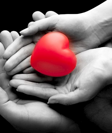 Bağış ödemelerinize ücretsiz ve faizsiz 6 taksit!