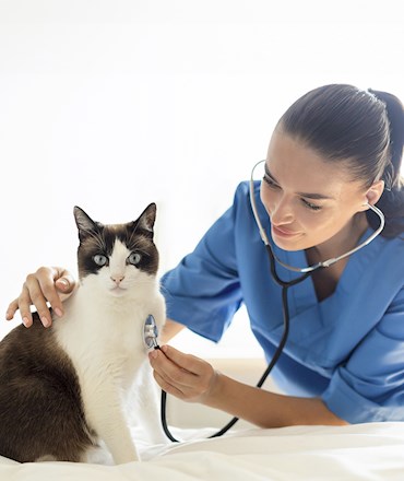 Patili Dostlar Kampanyası ile 250 TL ParaPuan kazanın! 